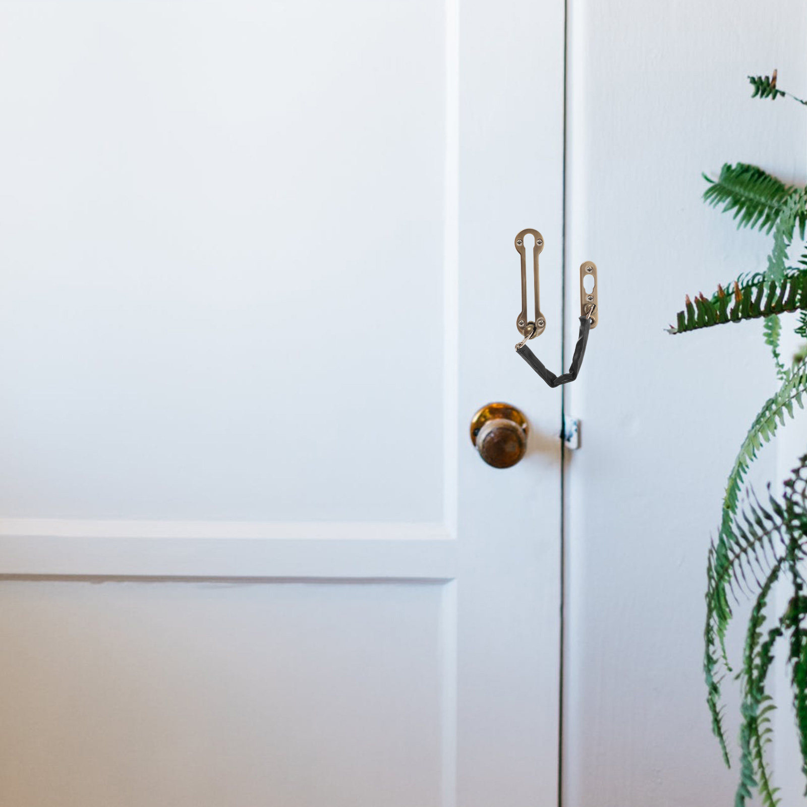 Thickened Anti-Theft Door Chai - مراجعة Security Chain Door وسعره