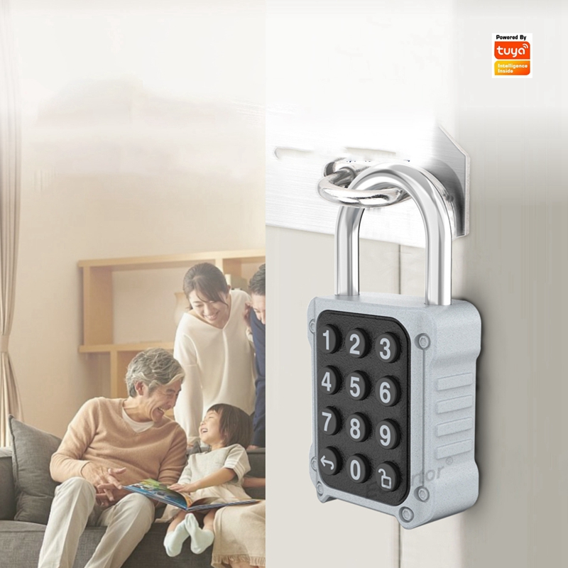 EGFirtor Tuya APP Electronic S - مراجعة Lockbox Key Secure وسعره