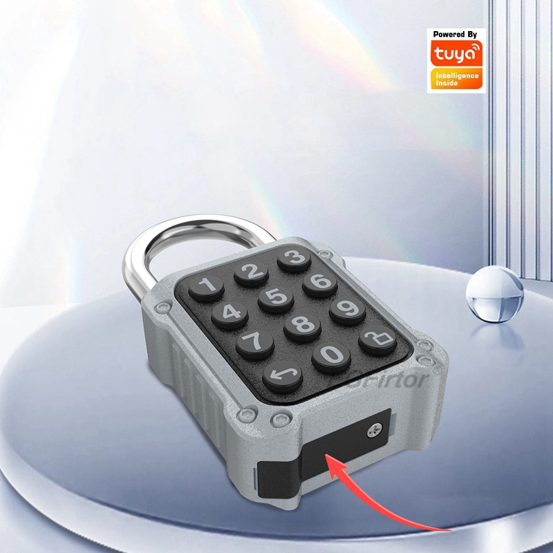 EGFirtor Tuya APP Electronic S - مراجعة Lockbox Key Secure وسعره